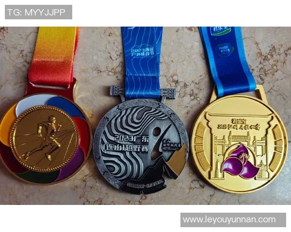 冠军之路：从挑战到辉煌，探索胜利背后的努力与坚持